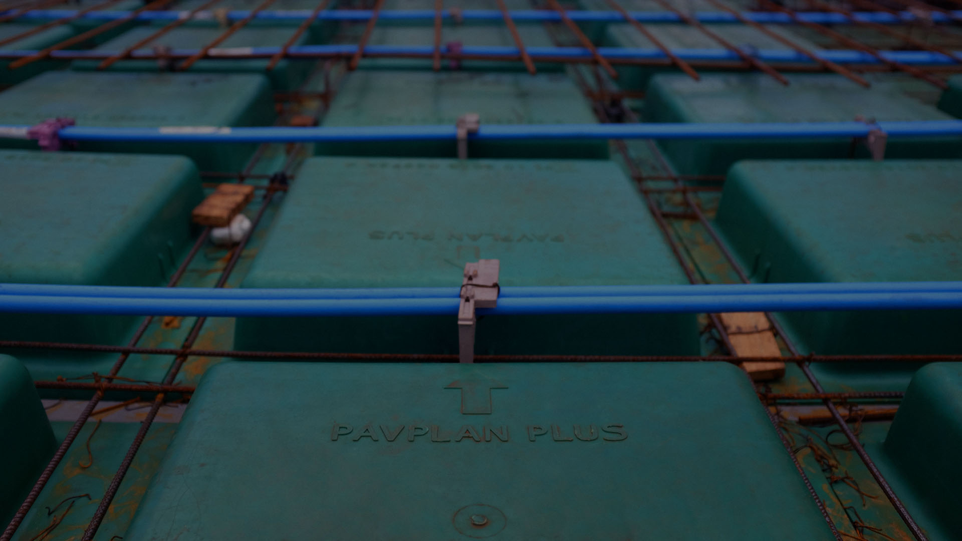 pavplus